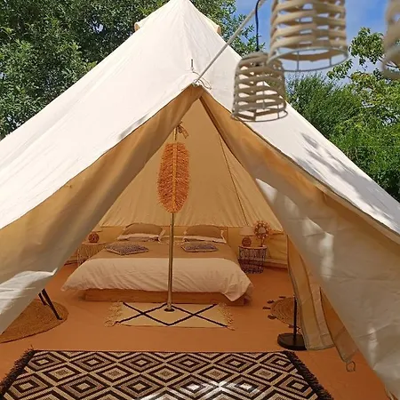 Tente de luxe Tente Mongole 