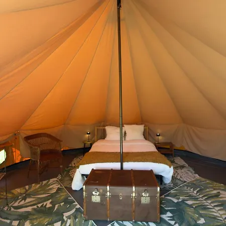 Tipi *